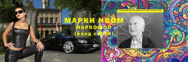 СК Новодвинск
