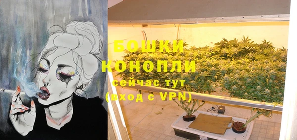 амф Новозыбков