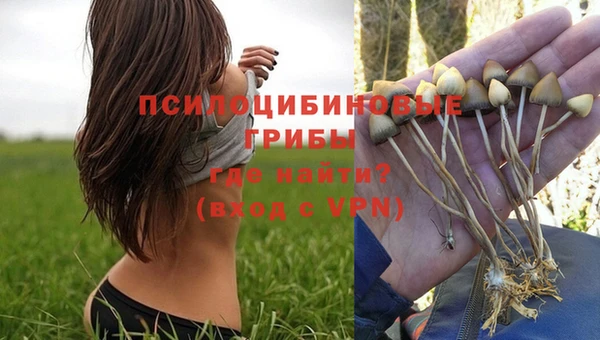 jwh Беломорск