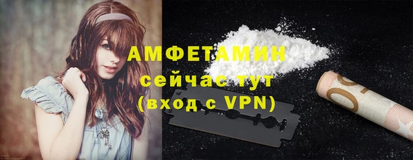 СК Новодвинск